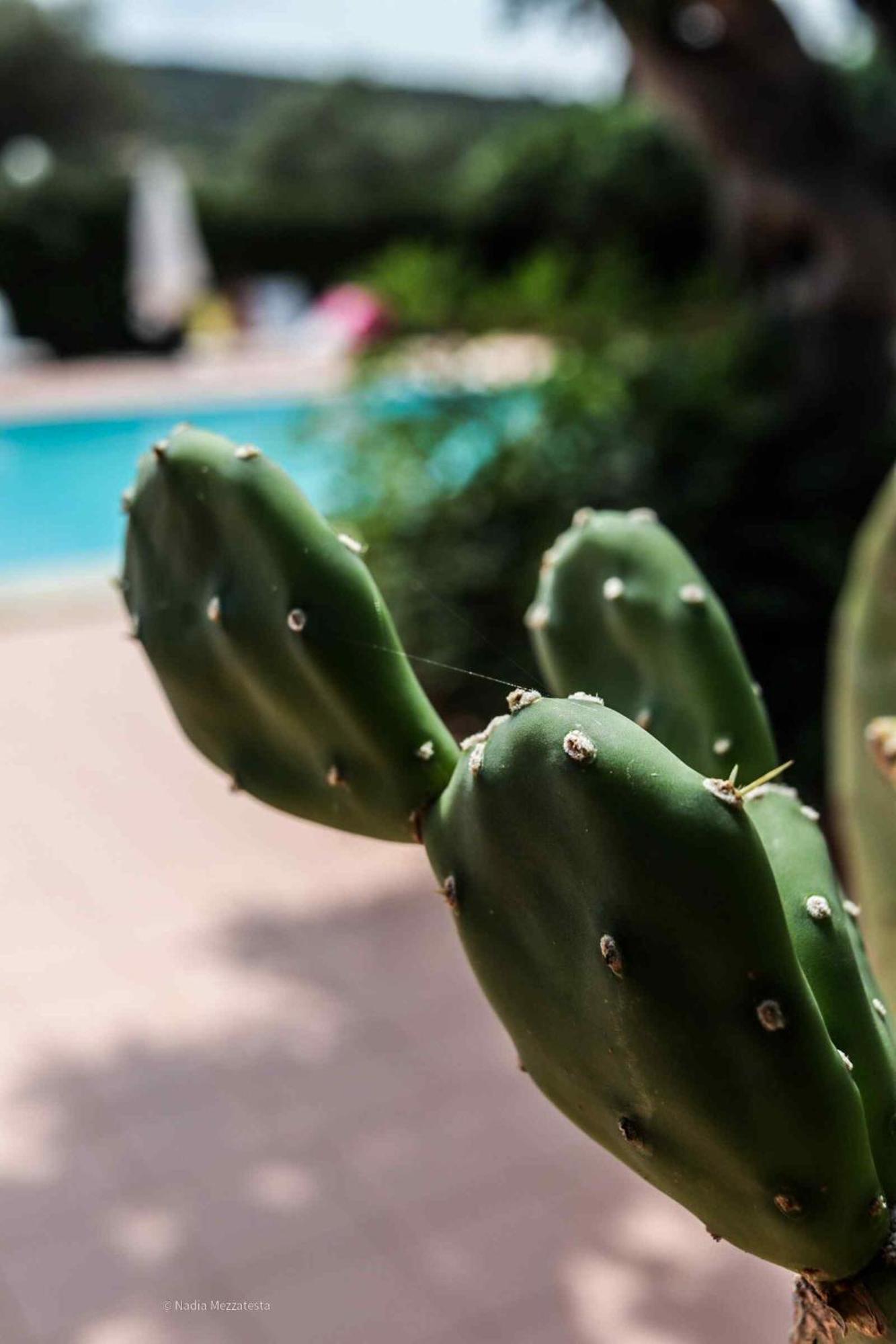 Il Casale Il Sole E La Margherita Campofelice Di Roccella Eksteriør billede