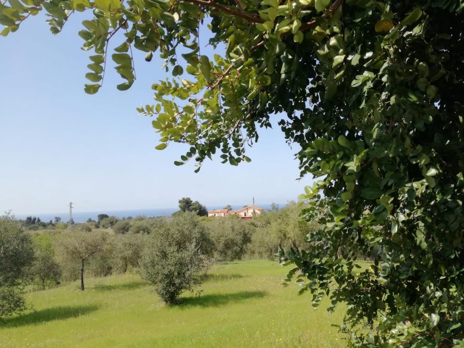 Il Casale Il Sole E La Margherita Campofelice Di Roccella Eksteriør billede